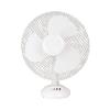 Fans